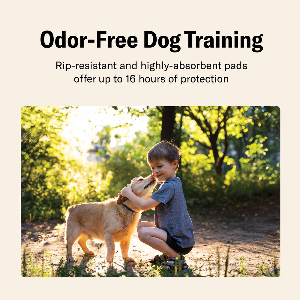 Odor-free dog training with rip-resistant Chucks pads